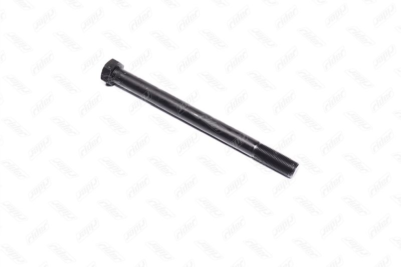 Болт M24*2x300