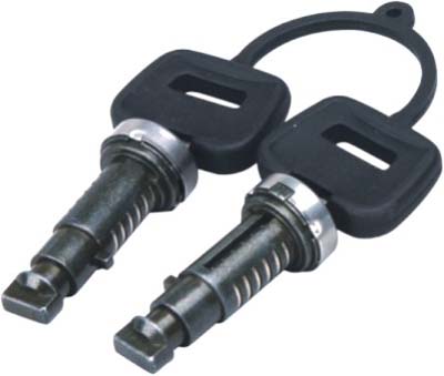 Личинка замка двери